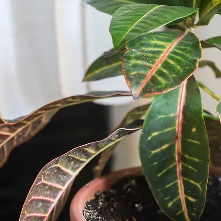 Loft La Fuente Telde