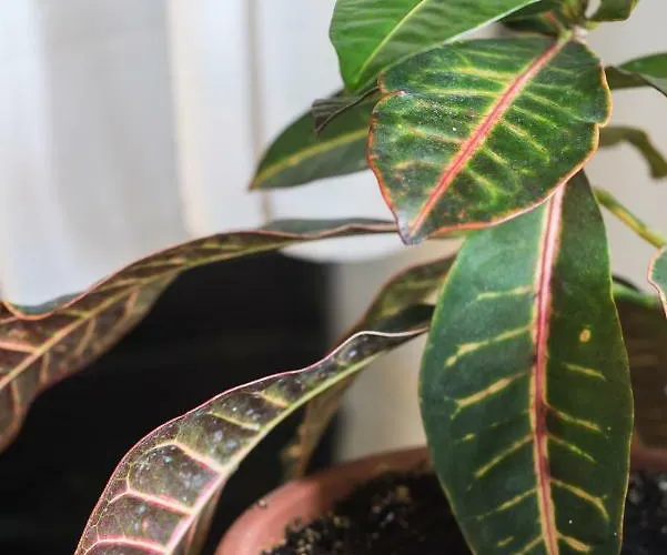 Loft La Fuente 特尔德